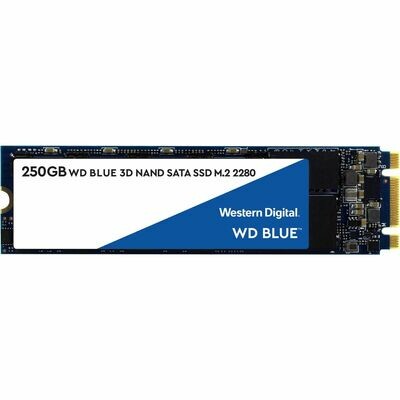 Western Digital WDS250G2B0B Wd Blue M.2 250gb Internal Ssd