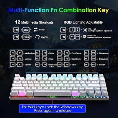 HUO JI Z88 Z-88 RGB Mechanical USB Gaming Keyboard, Blue Switch , LED Backlit, Water Resistant, Compact 81 Keys Anti-Ghosting for Mac, PC, White