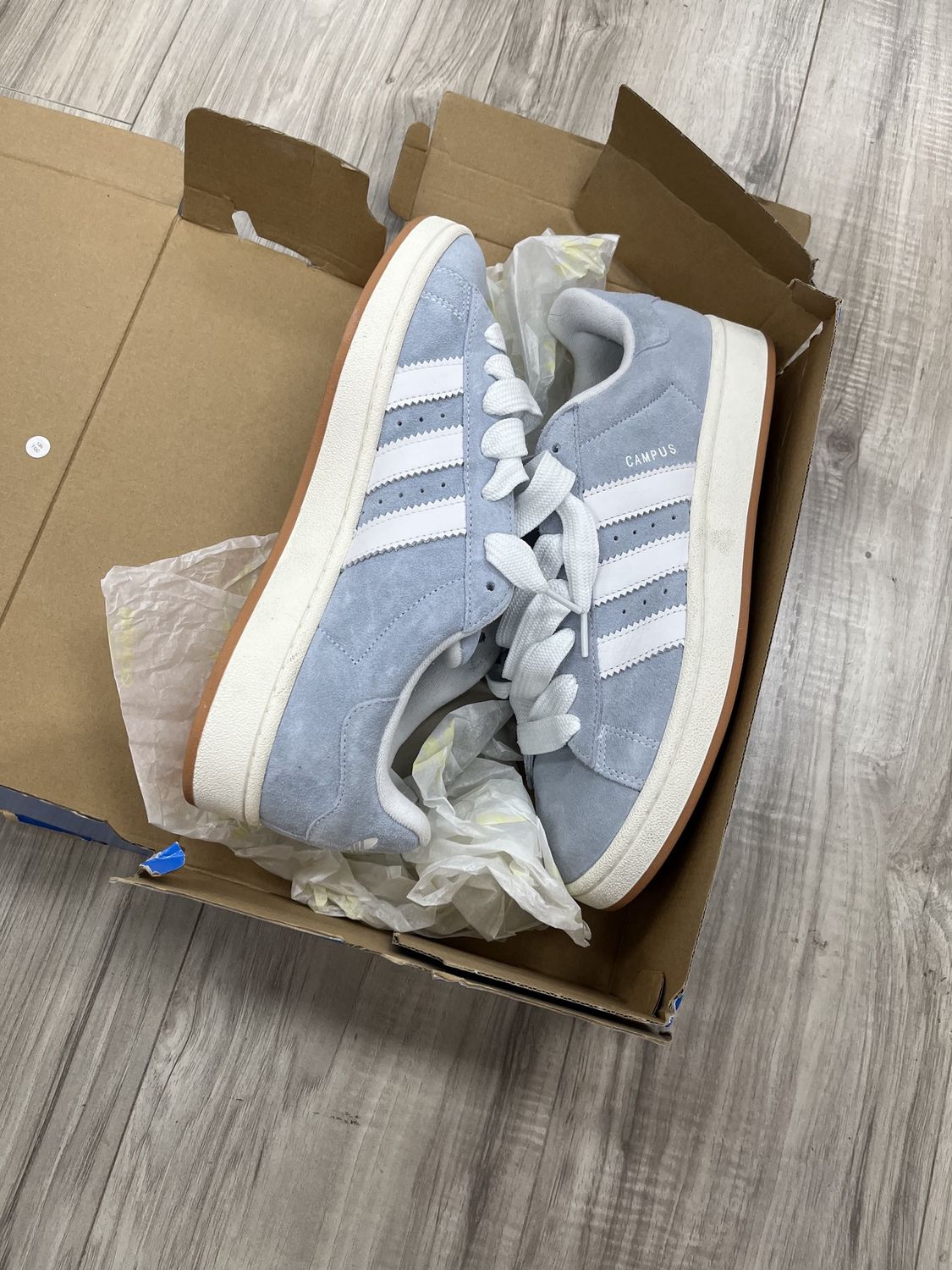 ADIDAS CAMPUS 006 BLUEBIRD SUEDE, USED: 11.5