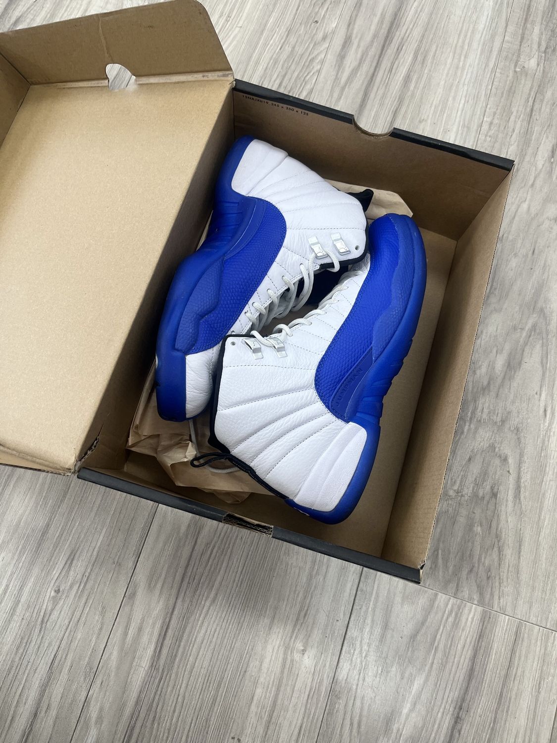 JORDAN 12 BLUE BERRY, USED: 8.5