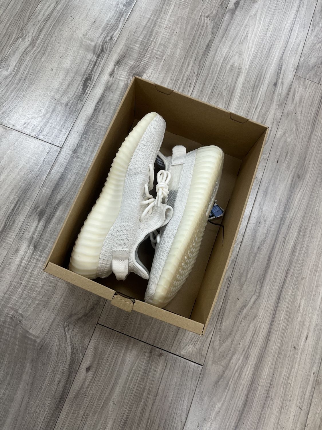 YEEZY 350 BONE |, USED: 9.5