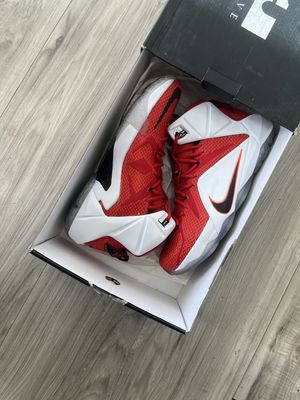 LEBRON 12 HEART OF A LION