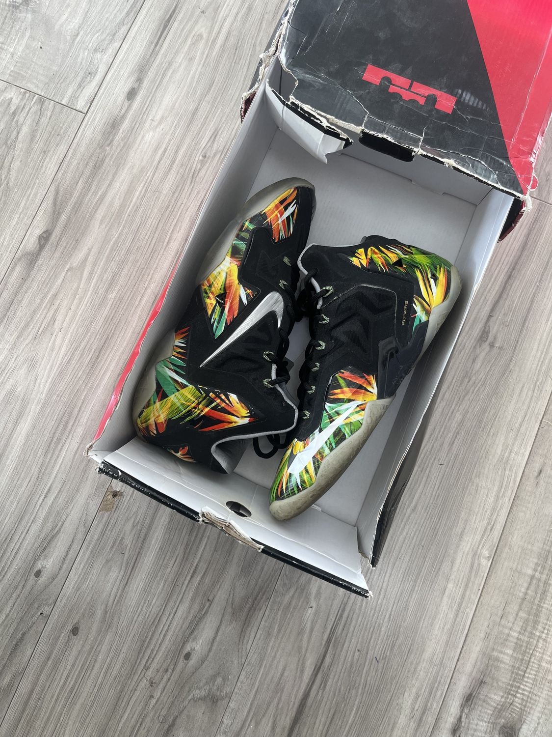 LEBRON 9 COLORFUL BLACK, USED: 9.5