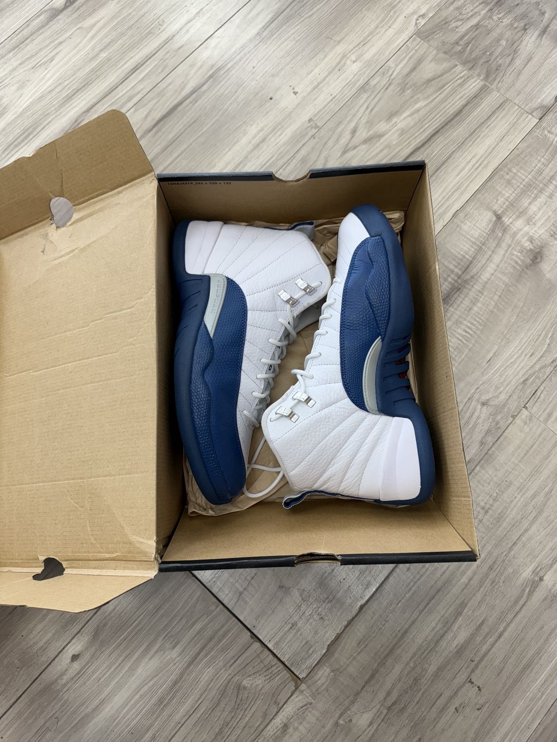 JORDAN 12 FRENCH BLUE
