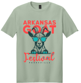 Stonewashed Green T-shirt
