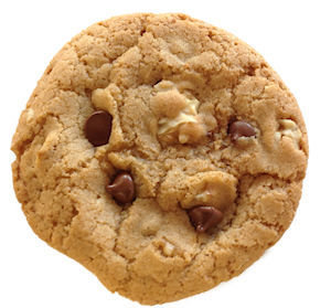 Bumzy's Classic Chocolate Chip with Walnuts