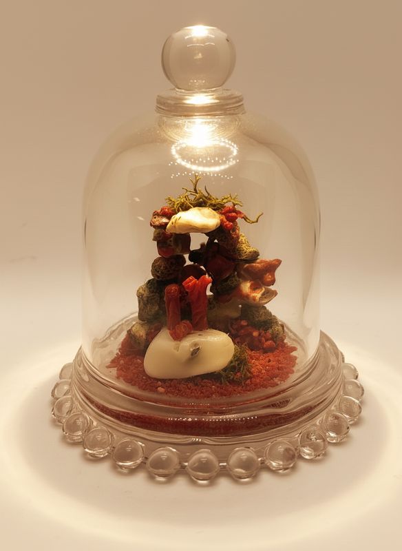 Presepe in corallo Mediterraneo ed elementi marini in campana di cristallo.