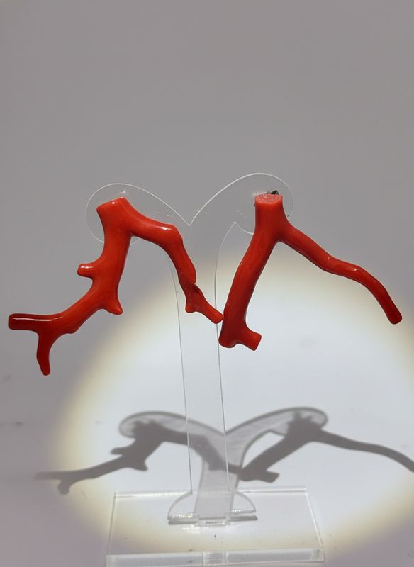 Orecchini con rami in corallo mediterraneo montati in argento 925