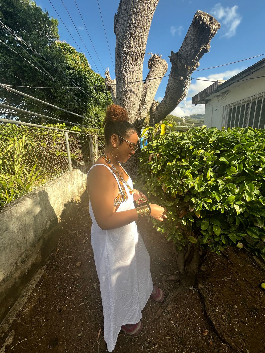 Abuela&#39;s Leaf of Relief