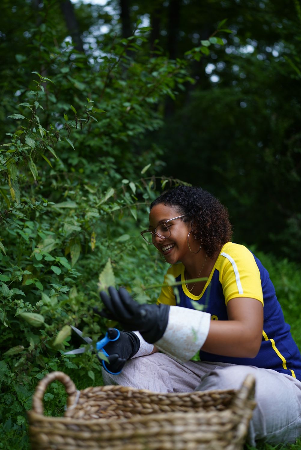 Stinging Nettle - Nature&#39;s Needle