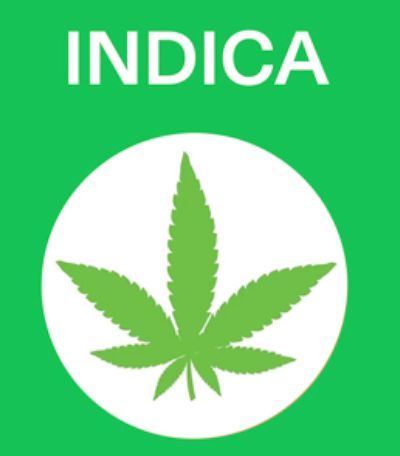Indica