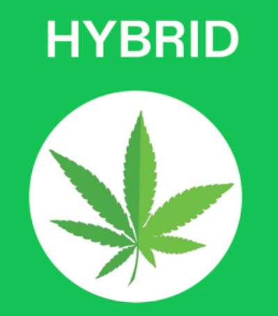Hybrid