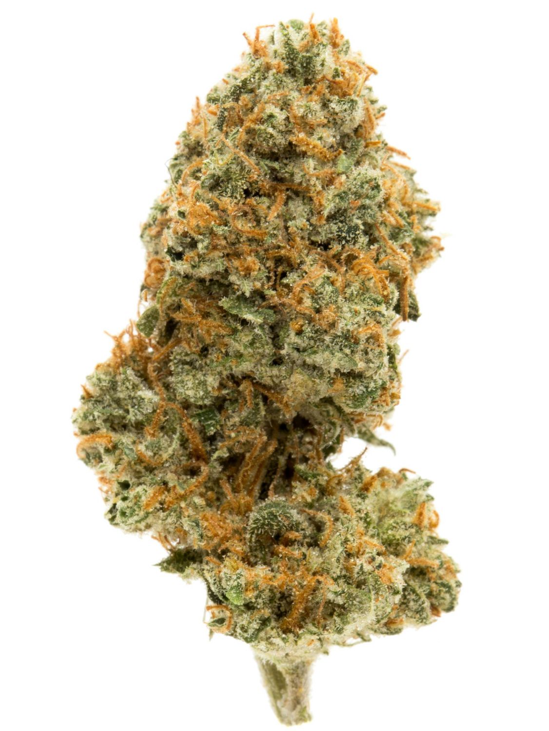 GHOST TRAIN HAZE