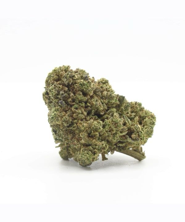 SKYWALKER