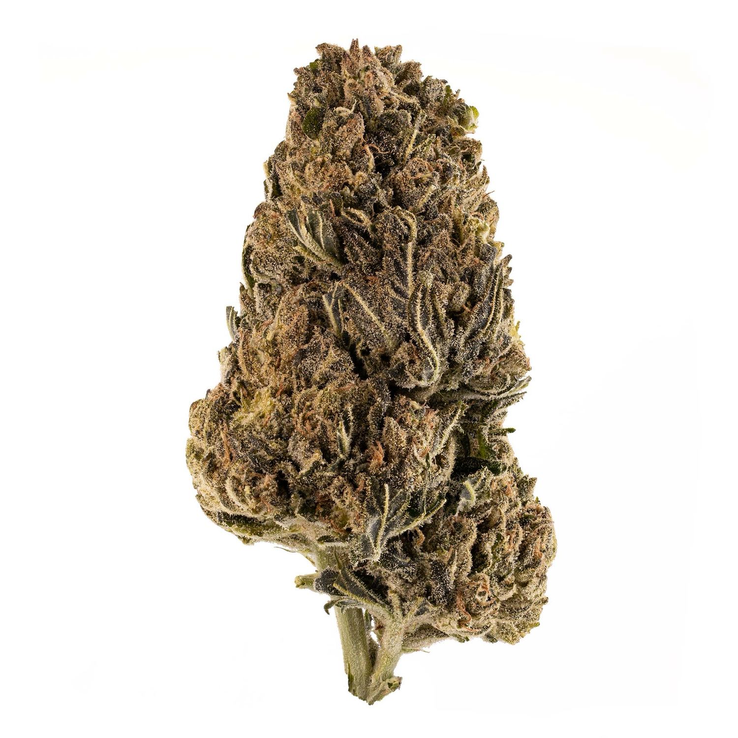 SOUR DIESEL
