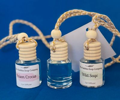 Car Diffuser Hanging Car Air Freshener