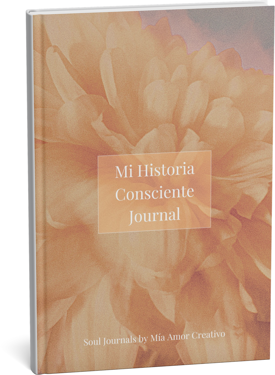 Agenda “Mi Historia Consciente” Agenda “Mi Historia Consciente”