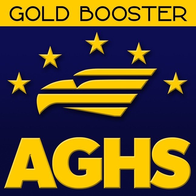 3. Gold Booster Membership