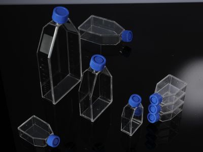 Cell Culture Flasks
