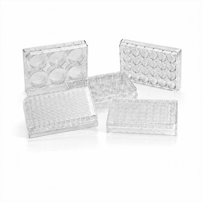 Cell Culture Plates