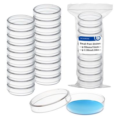 60 mm Petri dishes