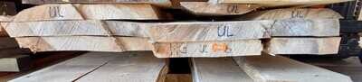 Ulme, Bretter, unbesäumt, Lotnr: 1059