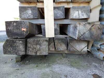 Ulme, Balken, Lotnr: 1091