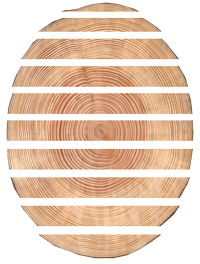 Rundholz, unbesäumt, zu Brettern gesägt