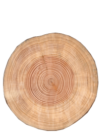 Rundholz, ausgeastet, entwipfelt