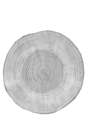 Kirschbaum