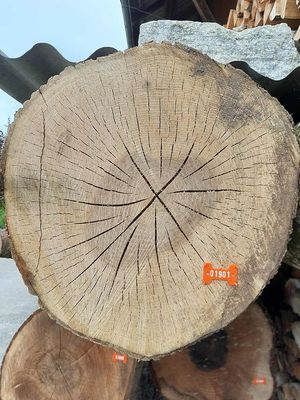 Esche, Rundholz, ausgeastet, entwipfelt, Lotnr: 1180