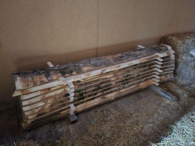 Ahorn, Bretter, unbesäumt, Lotnr: 1182