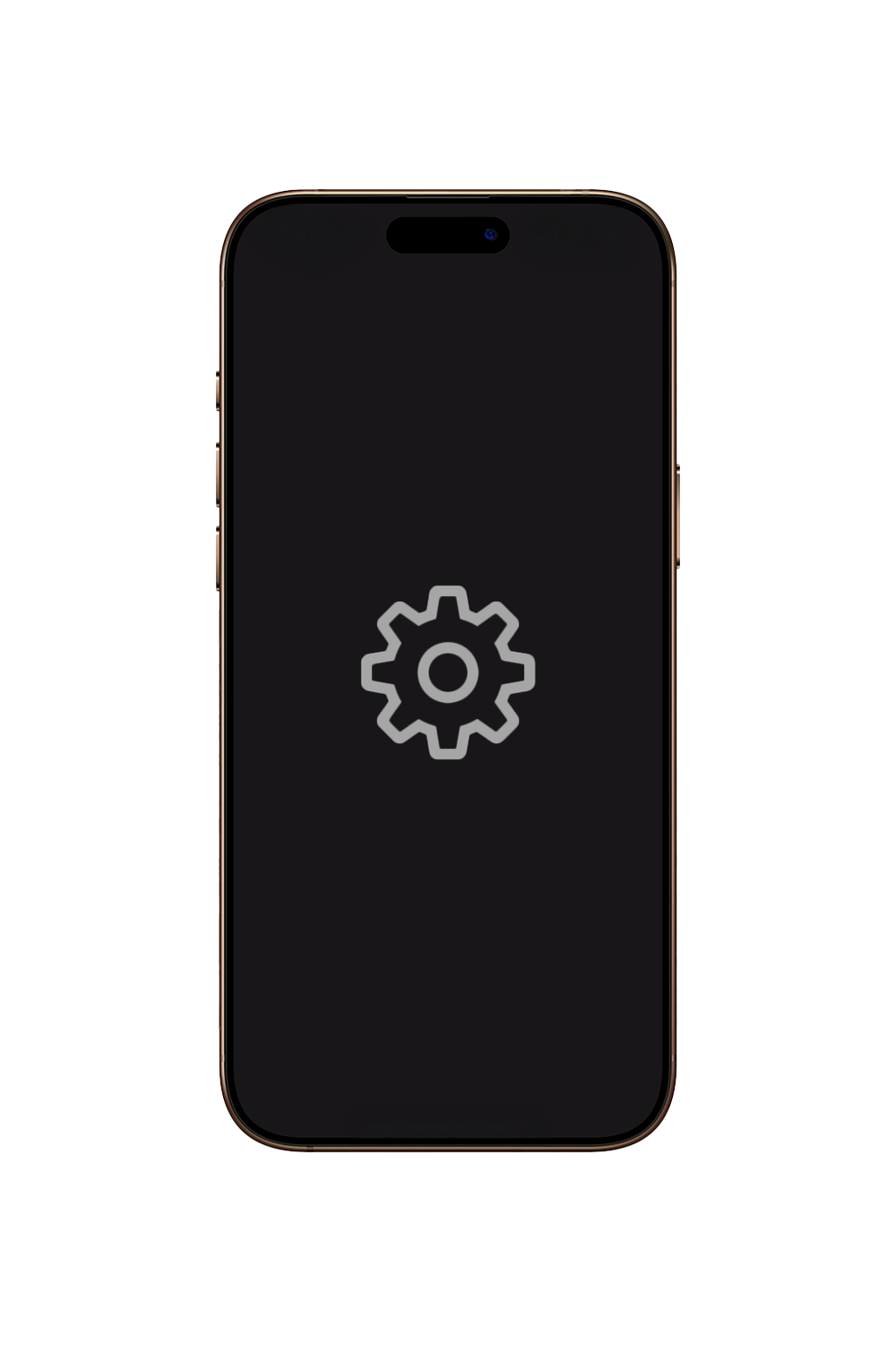iPhone 15 Pro Other Repairs