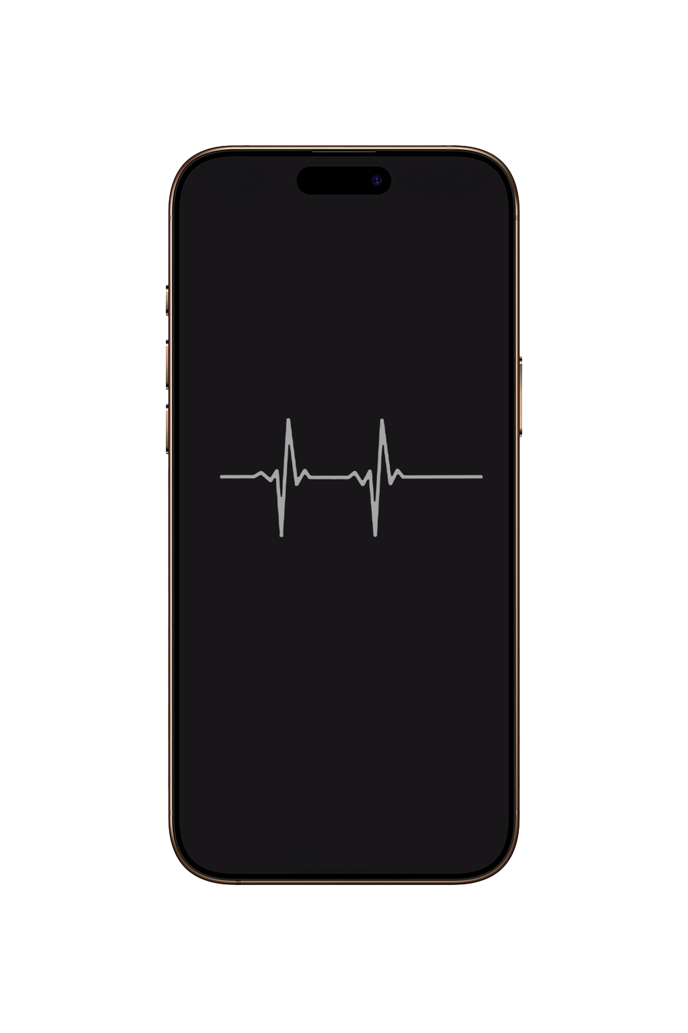iPhone 13 Pro Max Diagnostics