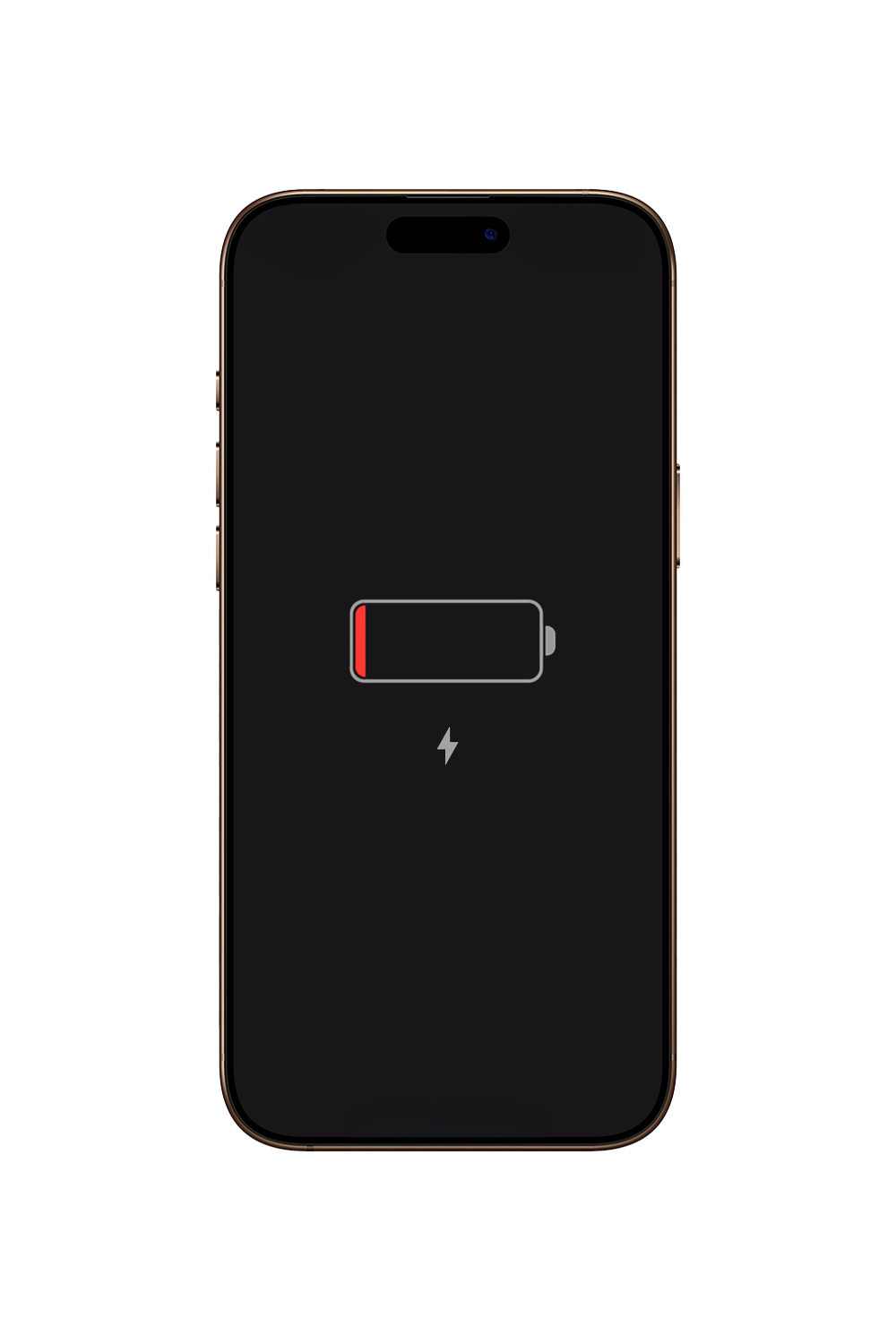 iPhone 12 Battery Replacement