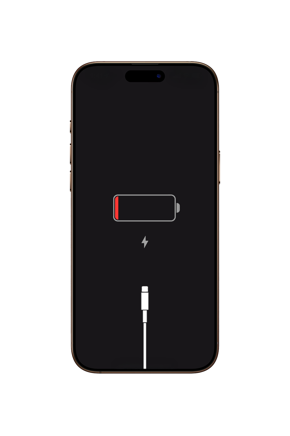 iPhone 12 Charging Port Replacement