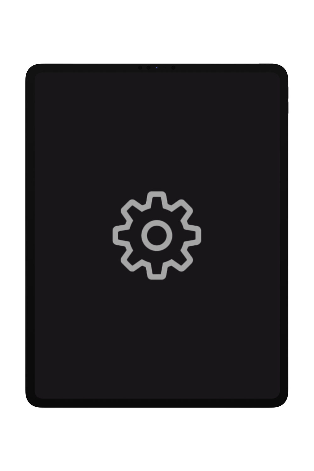 iPad Air 2 Diagnostics