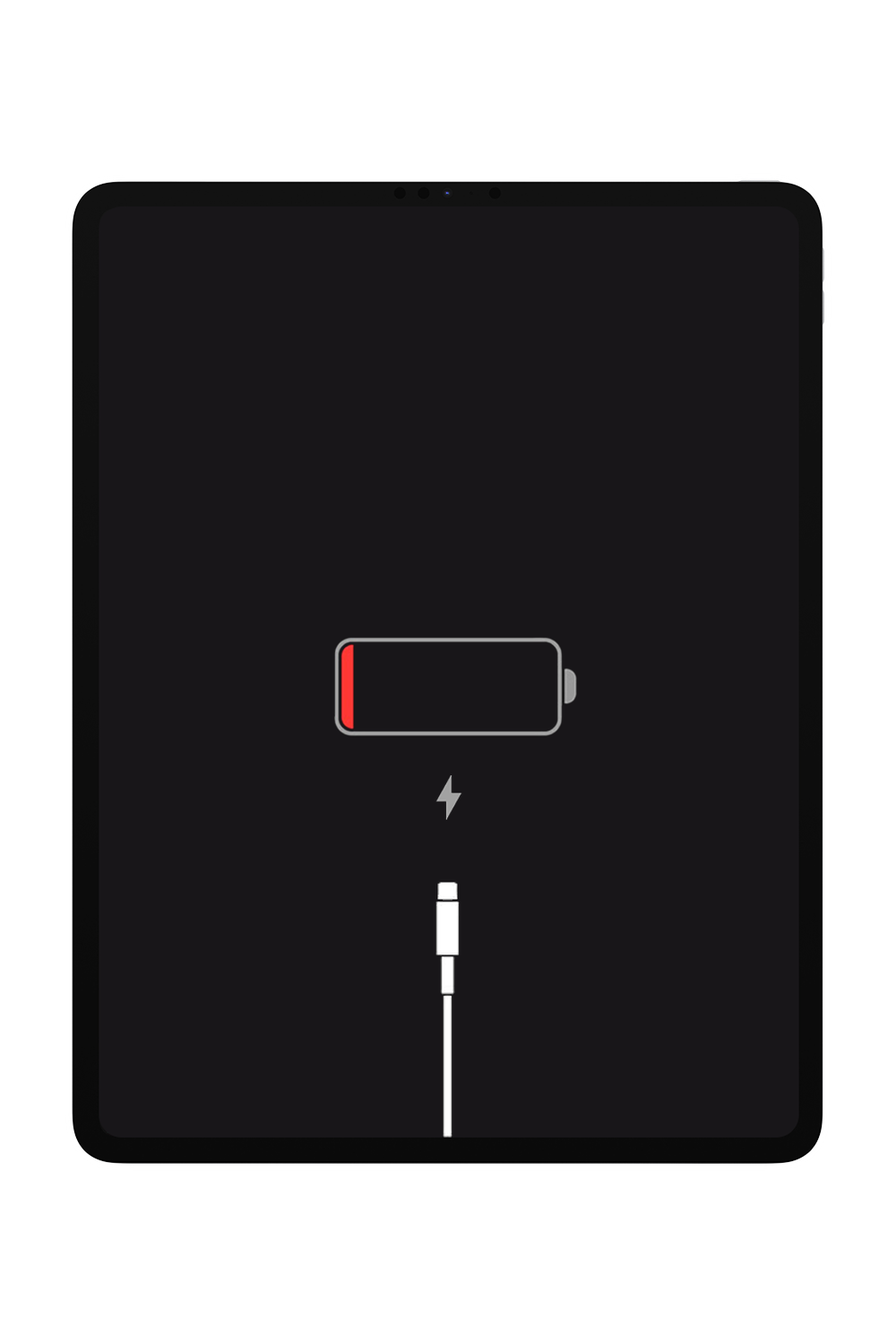 iPad Mini 4 Charging Port Replacement