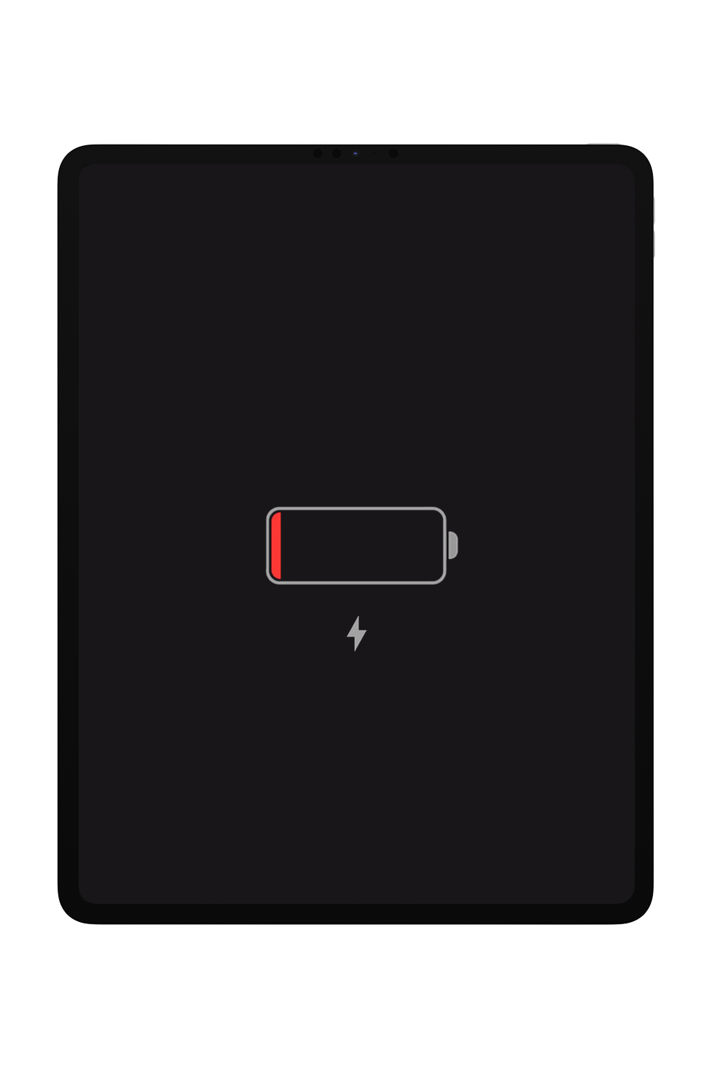 iPad Pro 12.9 iPad Pro 12.9" 6th Gen Battery Replacement