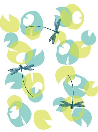 Waterlilies