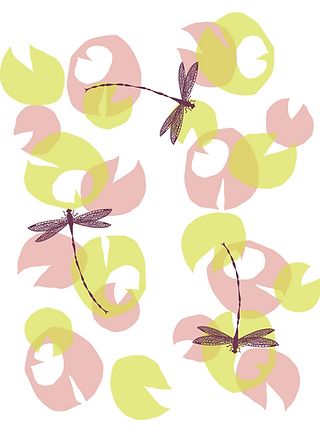 Waterlilies, Colour: Pink