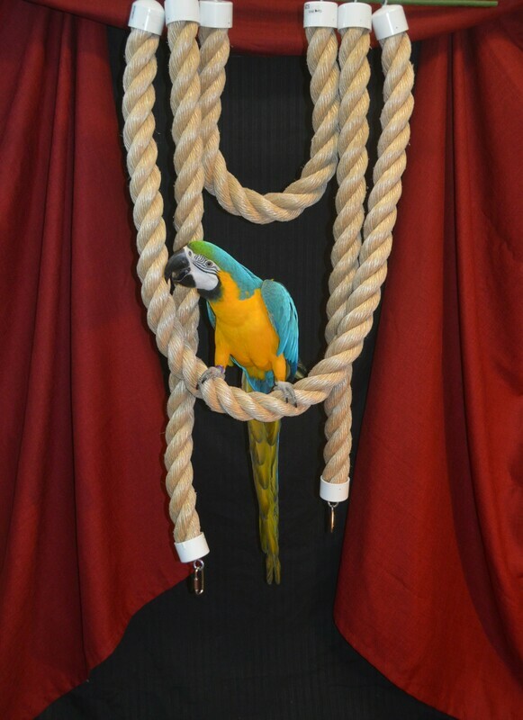 Centurion Straight Rope 2"