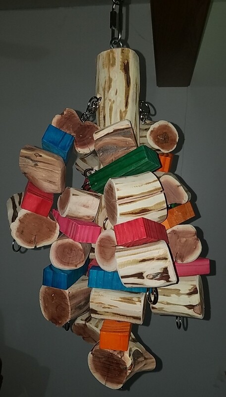 Manzanita 4-hole Toy