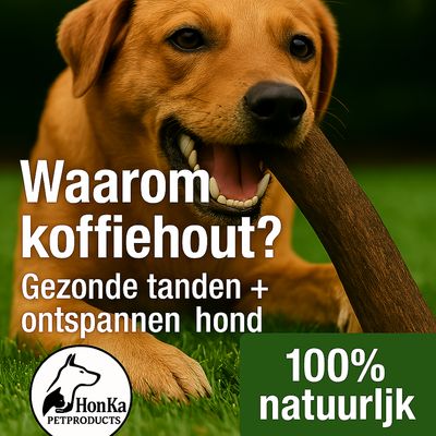 Waarom Koffiehout ?