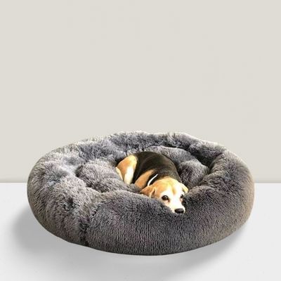 Manden &amp; Kussens