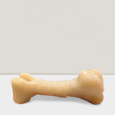 Hondenspeelgoed Nylon fantasie bot 16cm