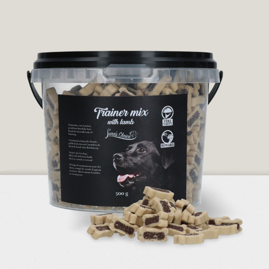 Luna’s Choice Lams Trainers