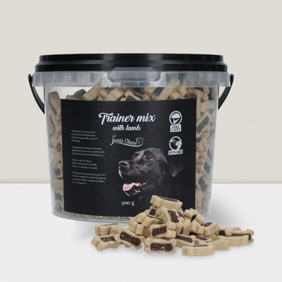 Luna’s Choice Lams Trainers