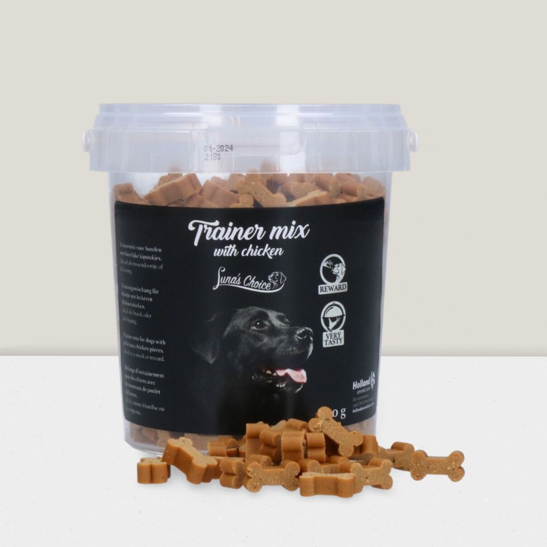 Luna’s Choice Kip Trainers