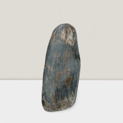 ​Viking Twist Horn – 100% Natuurlijke Kauwhoorn